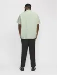 Model - ryg