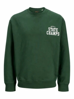 JPRBLUJACOB Pineneedle Crew Neck Sweat